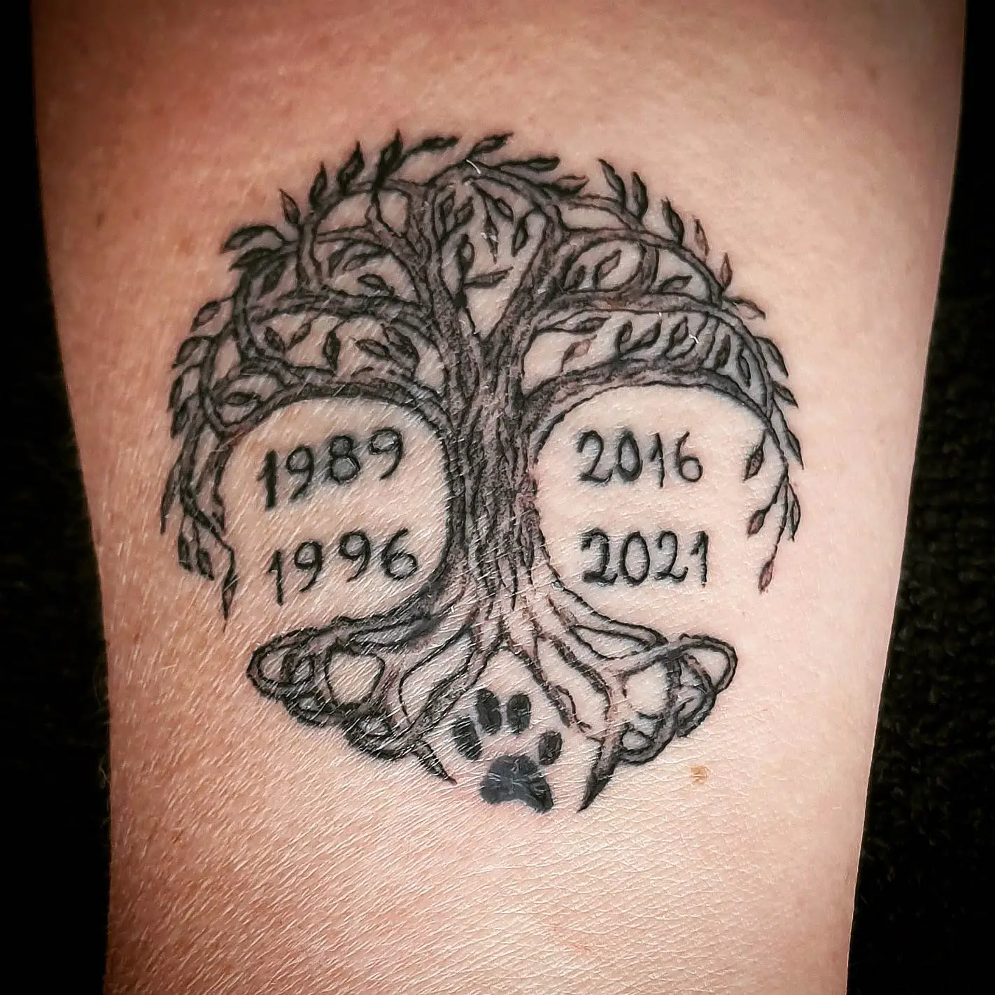 photo de un arbol