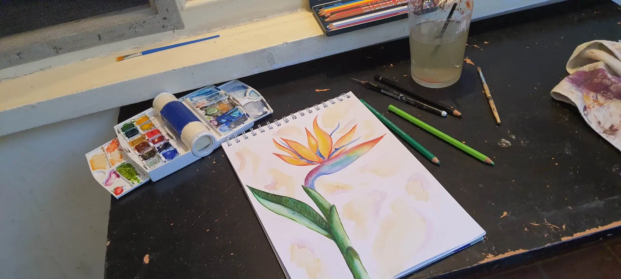 boceto de una flor del paraíso